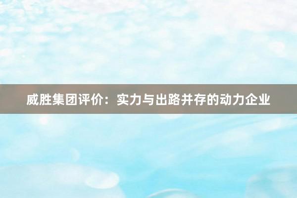 威胜集团评价：实力与出路并存的动力企业